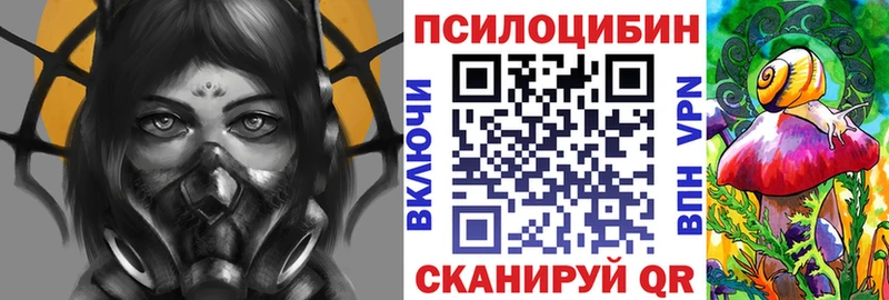 Галлюциногенные грибы мицелий  Купить где  Сясьстрой 